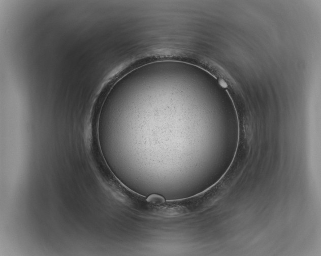 X0000112920488200908241229