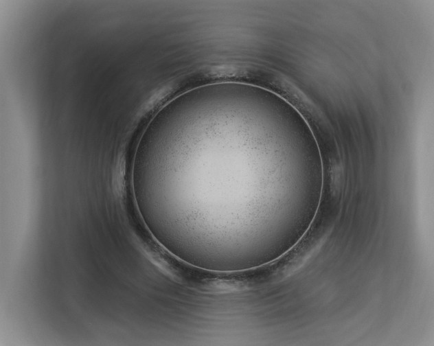 X0000112920490200908241229