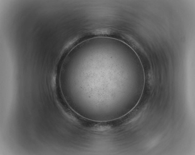X0000112920491200908241229