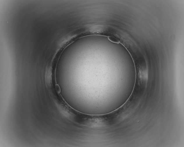 X0000112920492200908241229