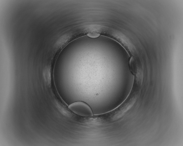 X0000112920493200908241229