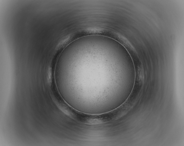 X0000112920494200908241229