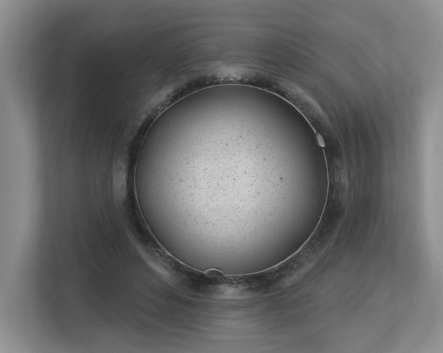 X0000112920496200908241229
