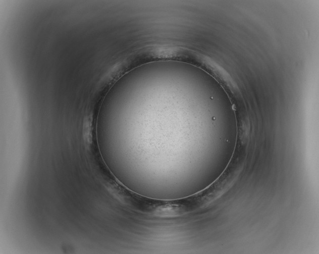 X0000112920497200908241229