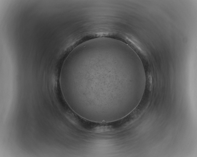 X0000112920499200908241229