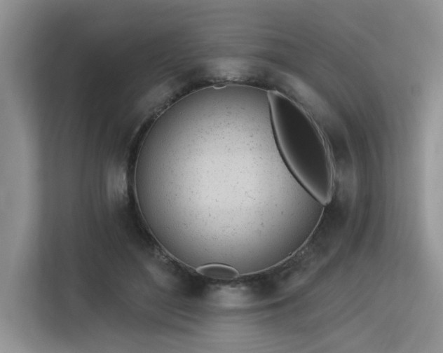 X0000112920500200908241229