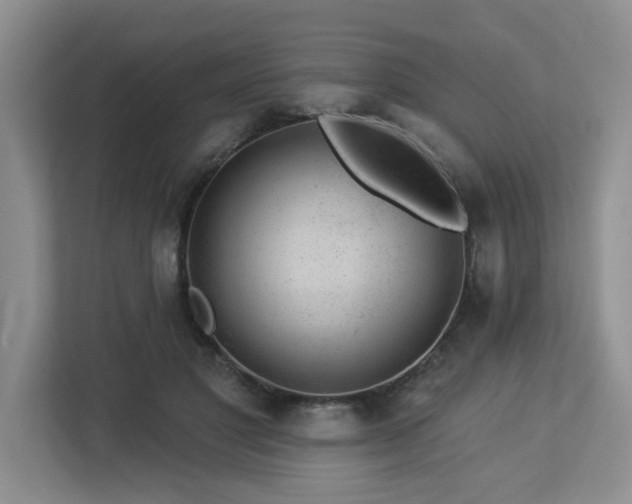 X0000112920501200908241229