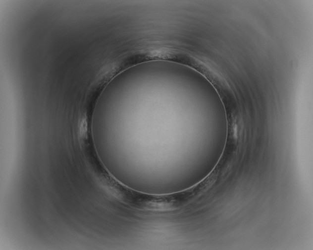 X0000112920502200908241229