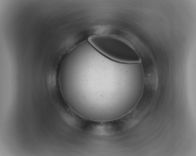 X0000112920504200908241229