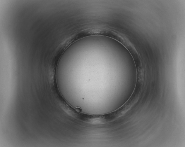 X0000112920505200908241229