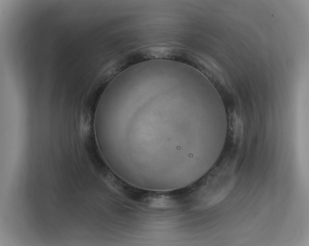 X0000112920507200908241229