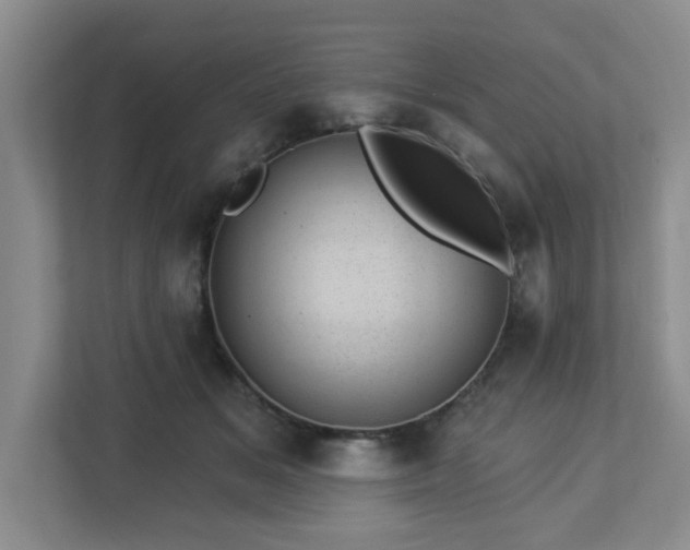 X0000112920509200908241229
