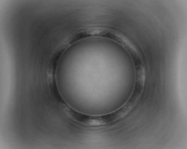 X0000112920510200908241229