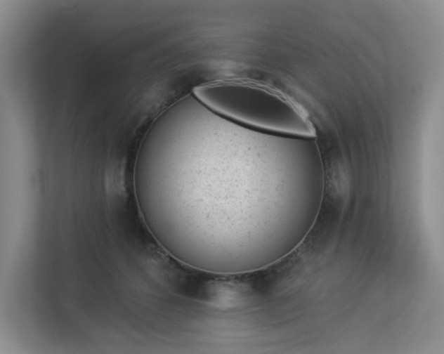 X0000112920512200908241229