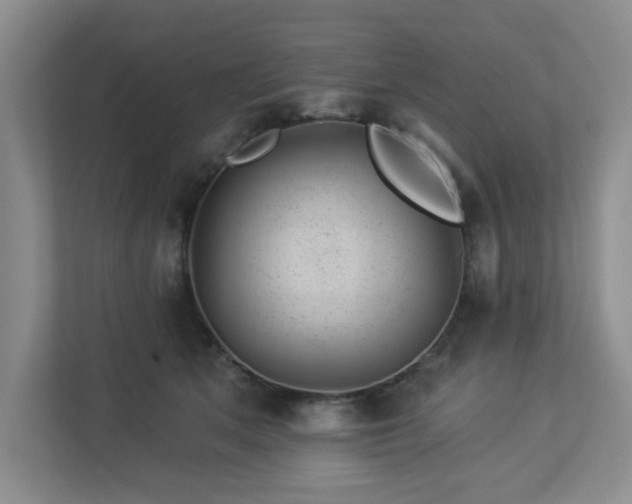X0000112920513200908241229