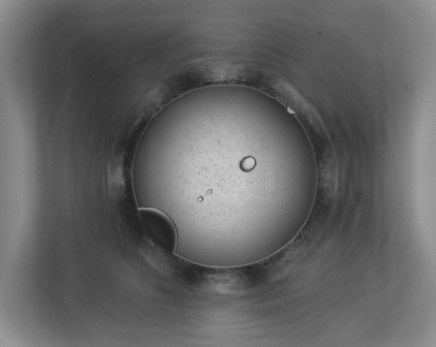 X0000112920516200908241229