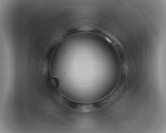 X0000112920517200908241229