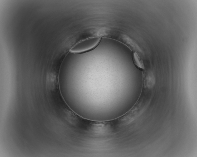 X0000112920521200908241229