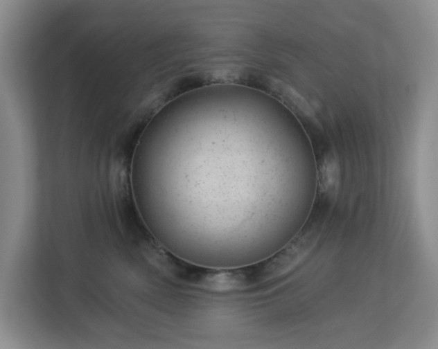 X0000112920522200908241229