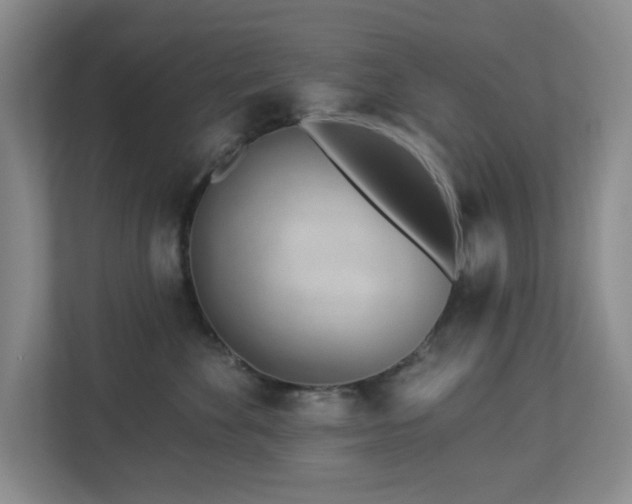 X0000112920524200908241228