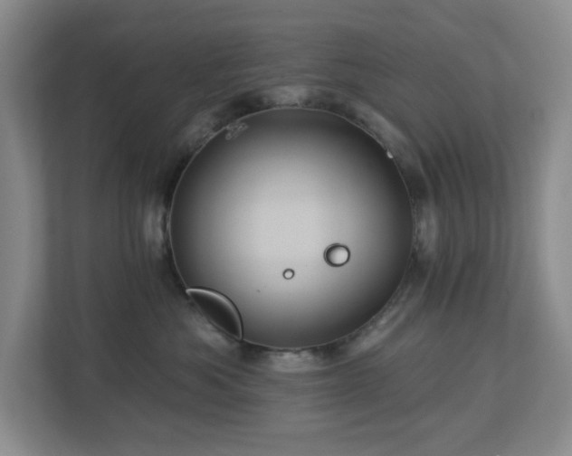 X0000112920525200908241228