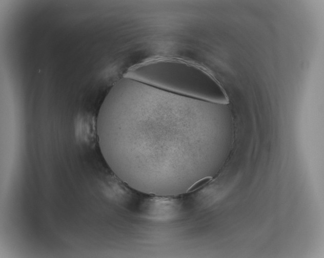 X0000112920528200908241228