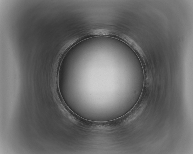 X0000112920529200908241228