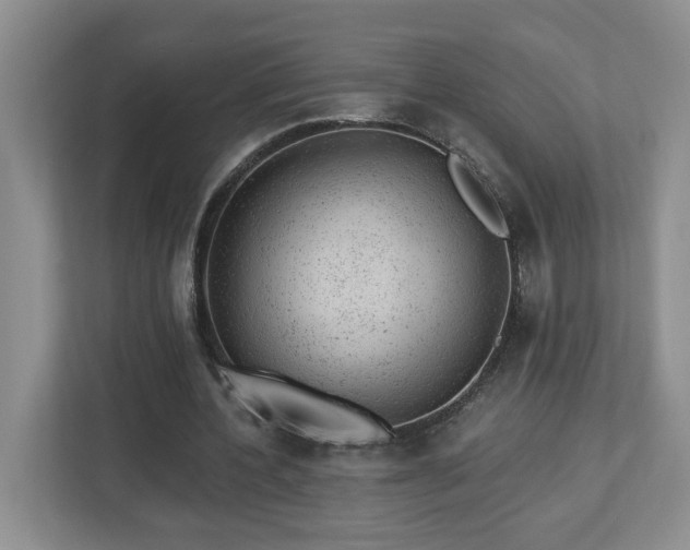 X0000112920532200908241228