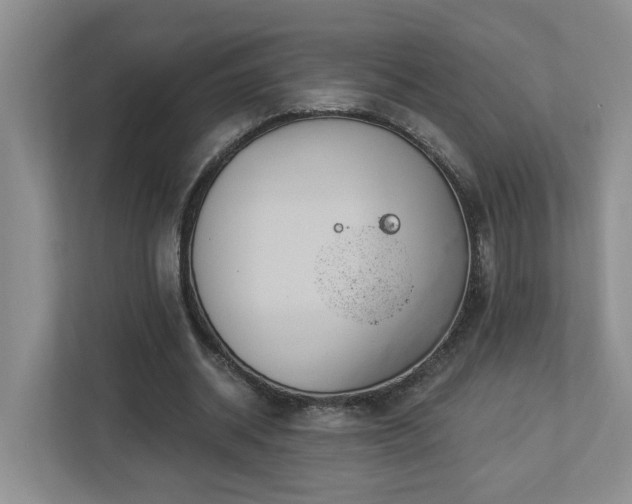 X0000112920534200908241228