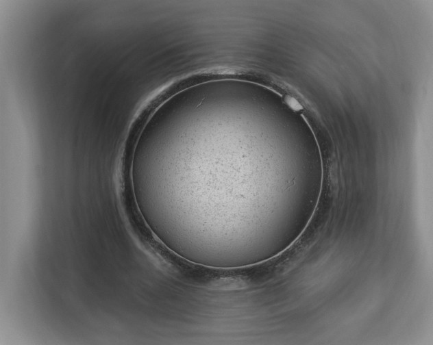 X0000112920536200908241228