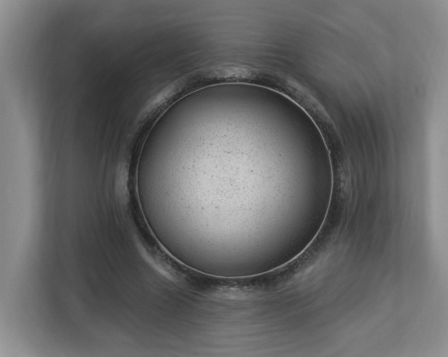 X0000112920538200908241228