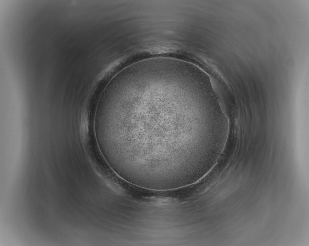 X0000112920539200908241228