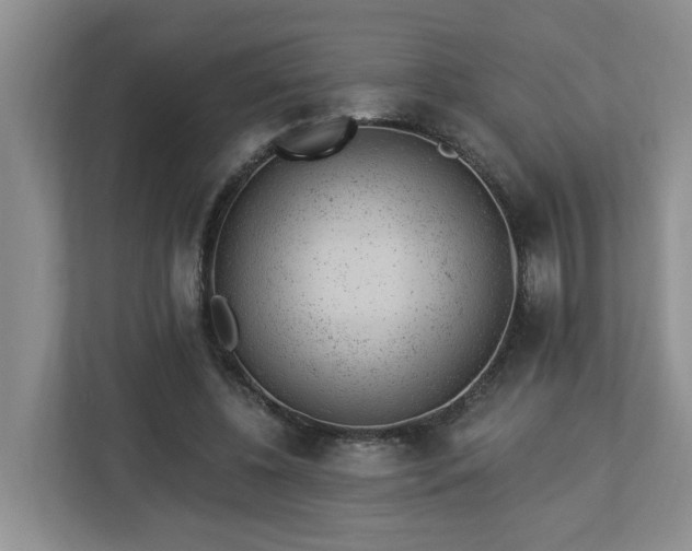 X0000112920540200908241228