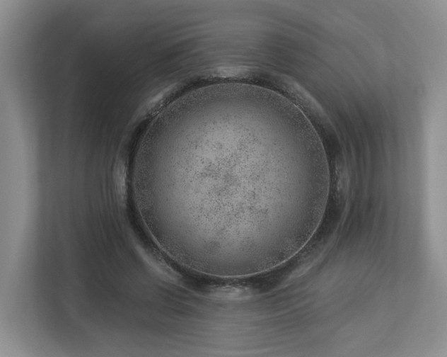 X0000112920542200908241228