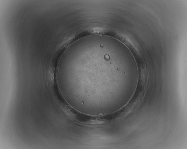 X0000112920545200908241228