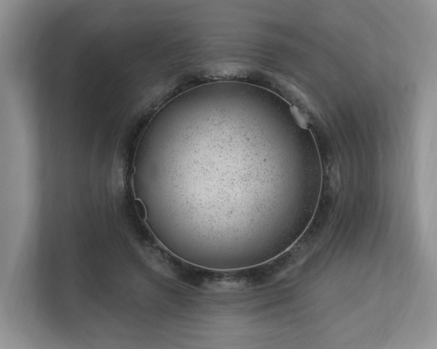 X0000112920546200908241228
