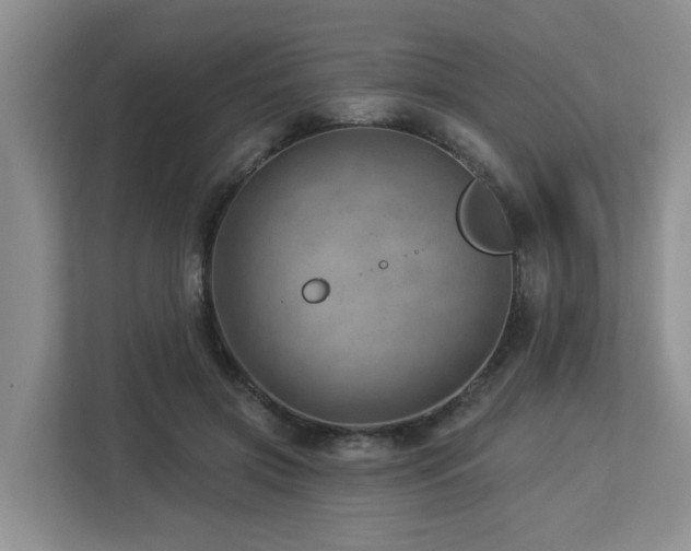 X0000112920549200908241228