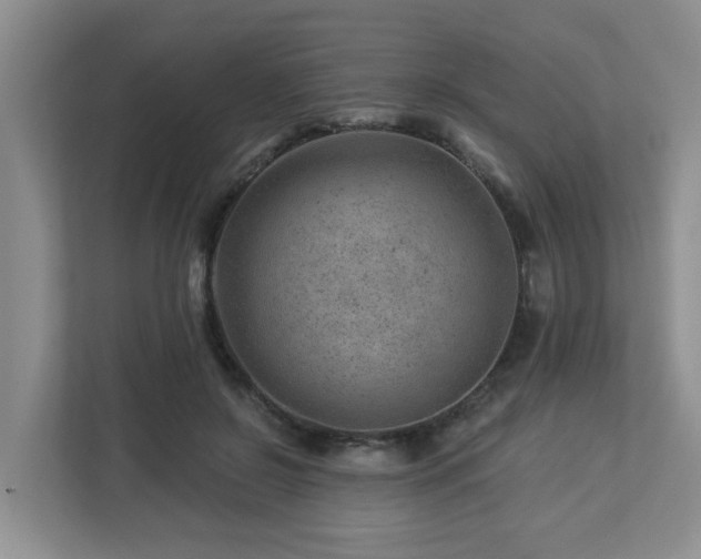 X0000112920550200908241228