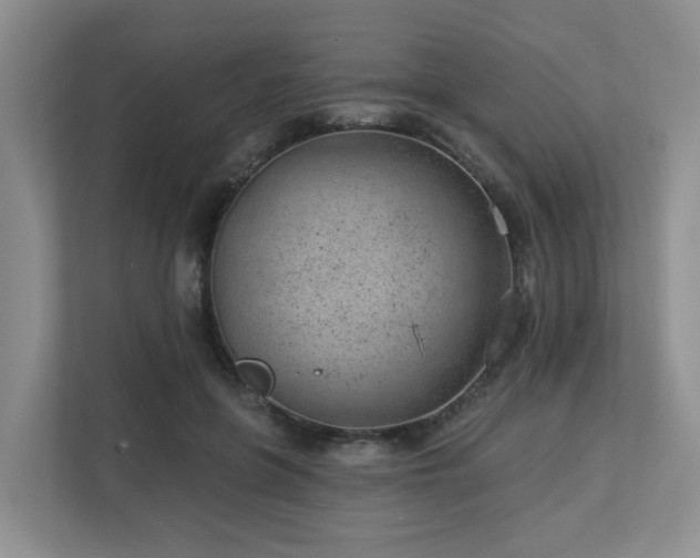 X0000112920551200908241228
