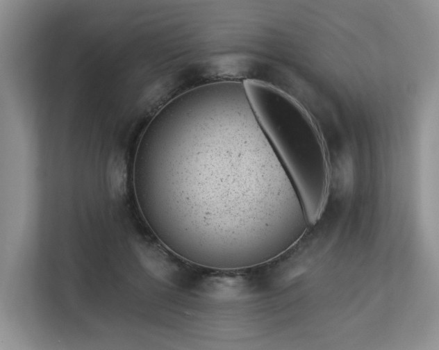 X0000112920552200908241228