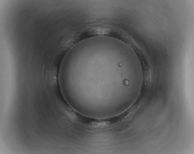 X0000112920553200908241228