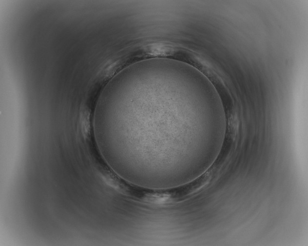 X0000112920554200908241228