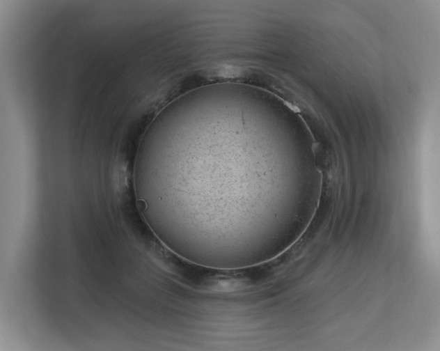 X0000112920555200908241228