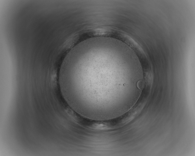 X0000112920557200908241228