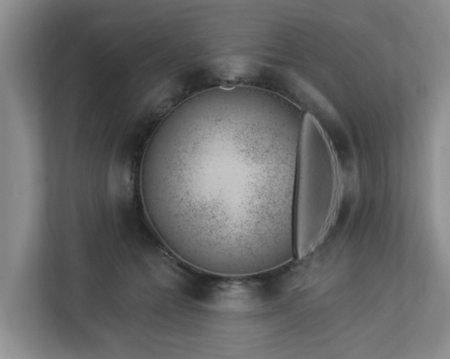 X0000112920558200908241228