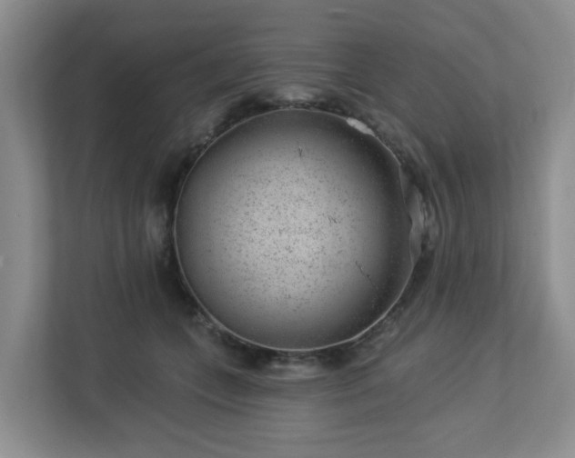 X0000112920559200908241228