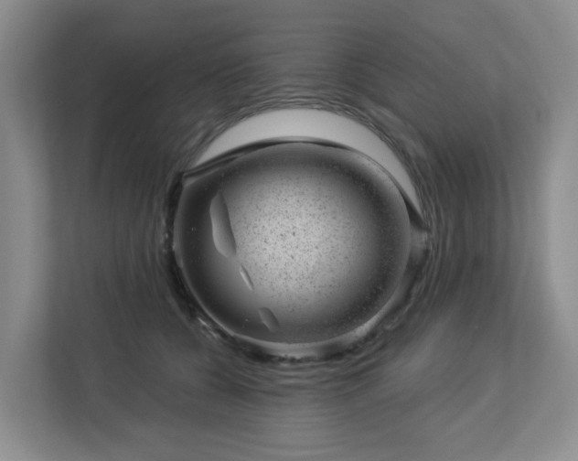 X0000112920560200908241228