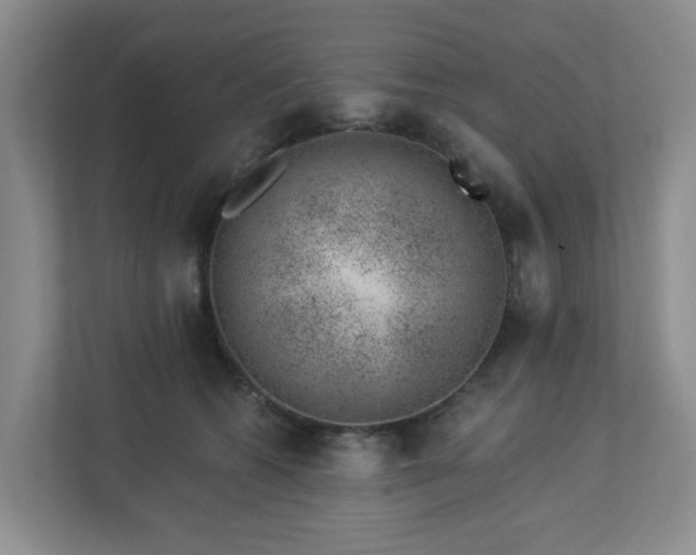 X0000112920562200908241228