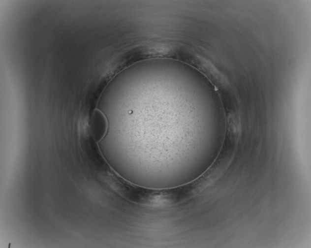 X0000112920564200908241228