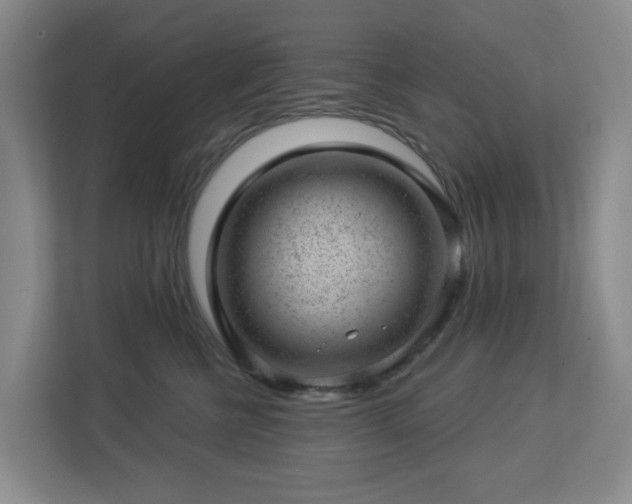 X0000112920570200908241228